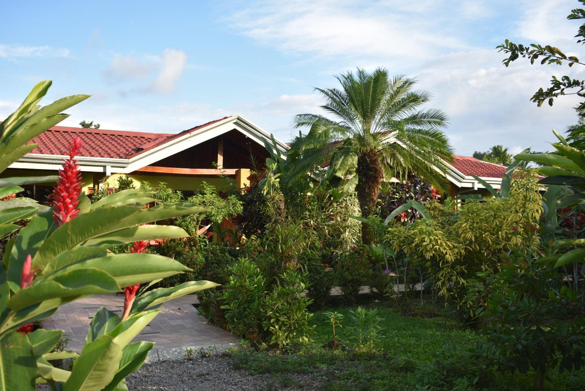 Hotel Roca Negra Del Arenal La Fortuna Ruang foto