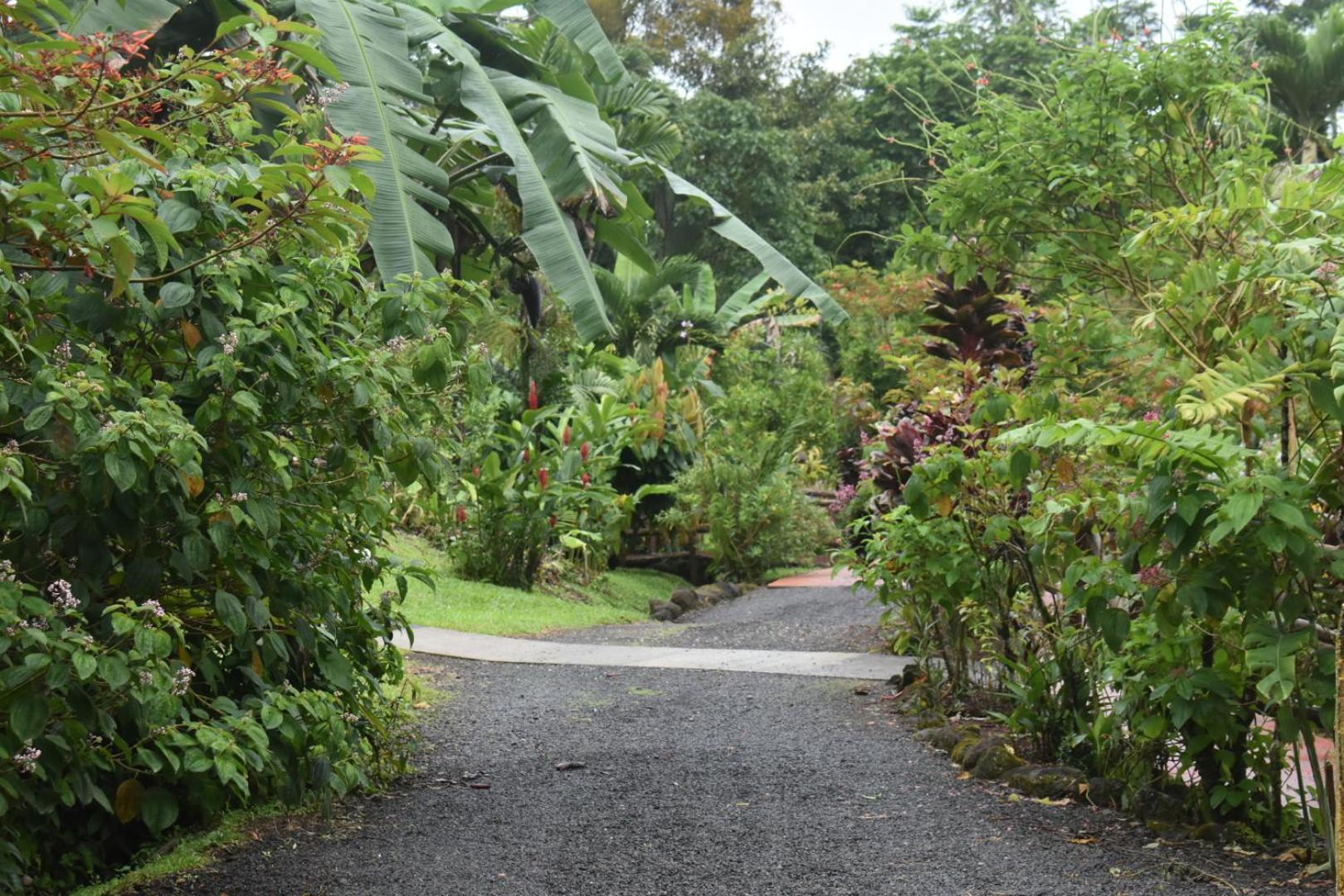 Hotel Roca Negra Del Arenal La Fortuna Bagian luar foto