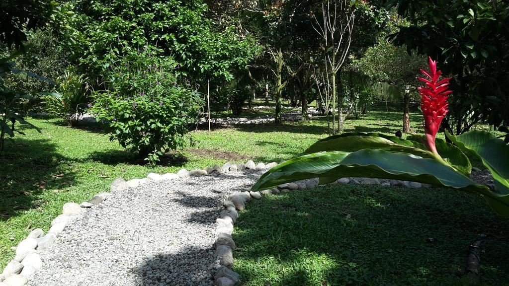 Hotel Roca Negra Del Arenal La Fortuna Bagian luar foto