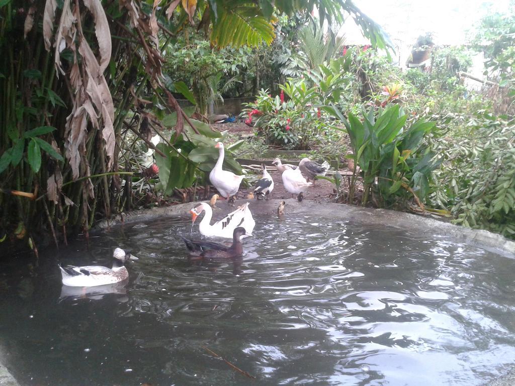 Hotel Roca Negra Del Arenal La Fortuna Bagian luar foto