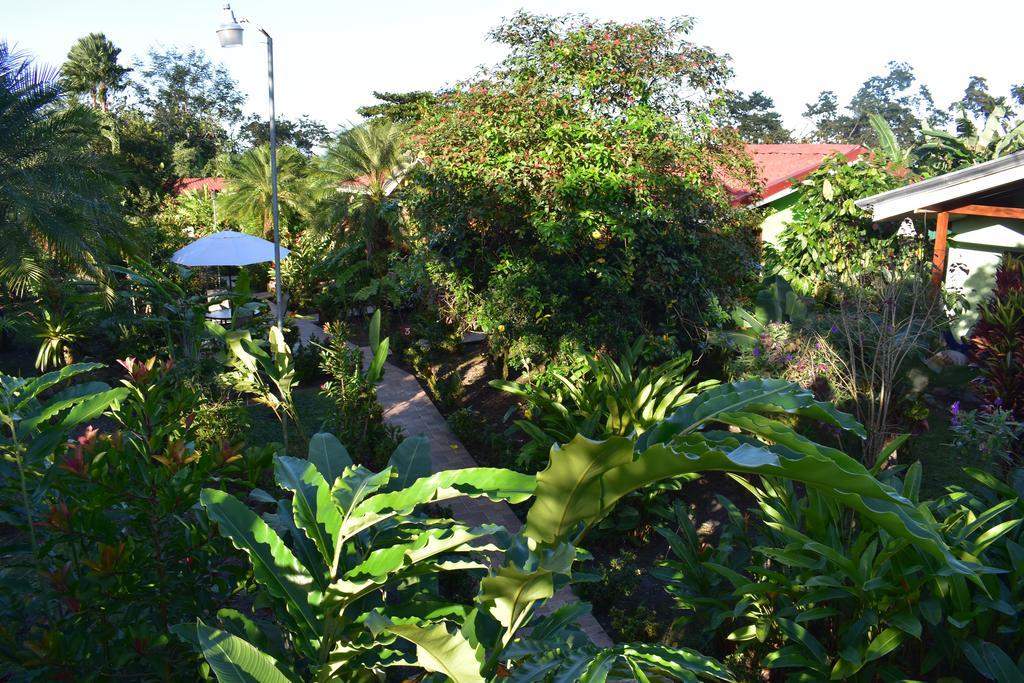 Hotel Roca Negra Del Arenal La Fortuna Bagian luar foto