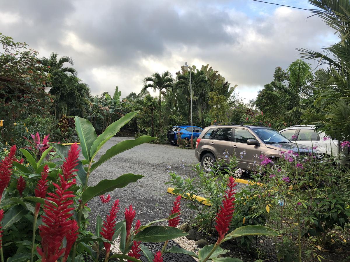 Hotel Roca Negra Del Arenal La Fortuna Bagian luar foto