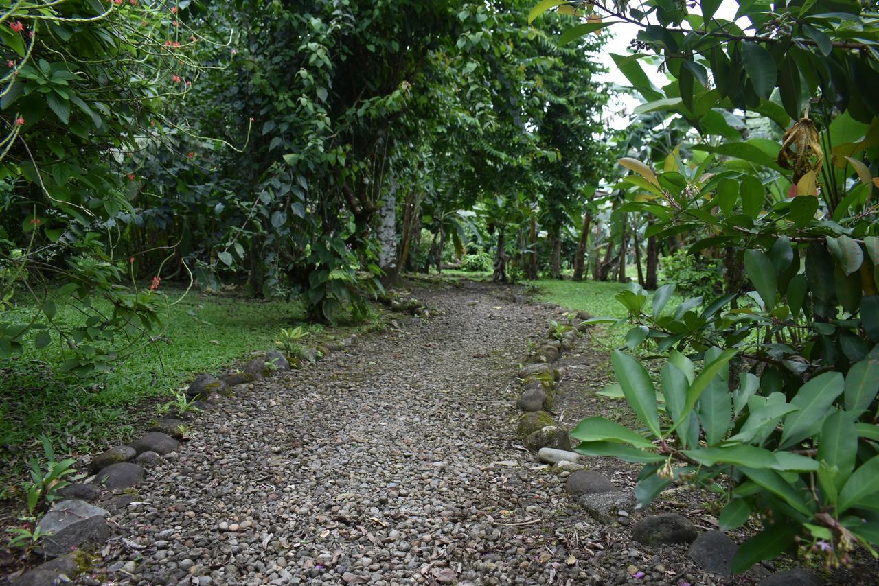 Hotel Roca Negra Del Arenal La Fortuna Bagian luar foto